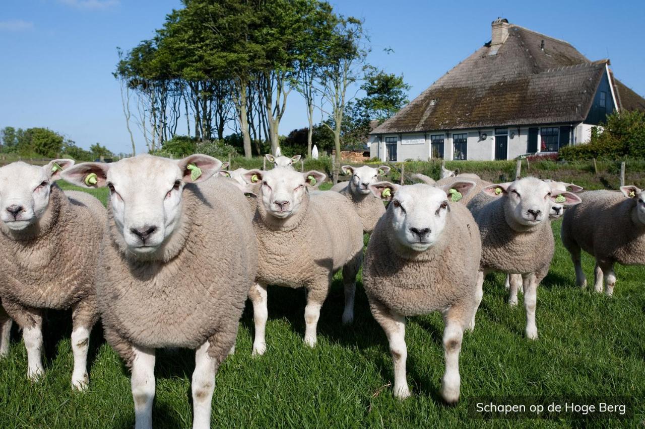 Vakantiepark De Krim Texel Де-Коксдорп Экстерьер фото